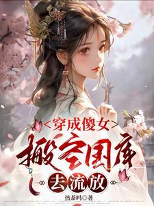 穿越成傻女嫁三皇子的