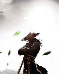 千里起解李忘风