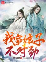 我家娘子不对劲百灵结局
