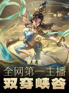 双穿王者荣耀