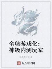 全球游戏化神级内测玩家顶点