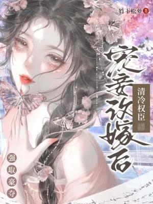 宠妾文