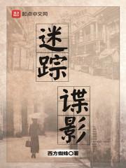 迷踪谍影为什么下架了