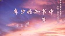 恰逢年少是什么意思