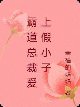 霸道总裁爱上小娇妻电视
