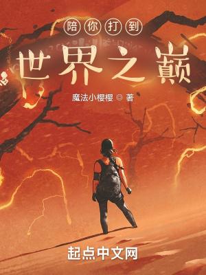 陪你打到世界之巅百科
