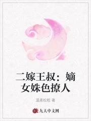 二嫁王妃不好惹全文免费
