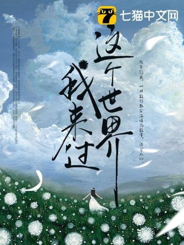 这个世界我来过歌词是什么歌
