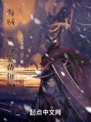 海贼光辉之路最新名字