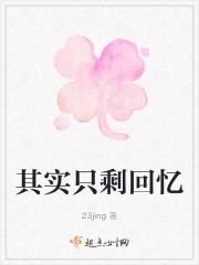 只剩回忆这首歌歌词