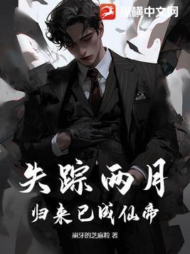 失踪的人又回来了