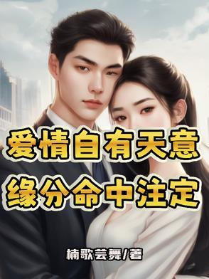 网络剧爱情自有天意