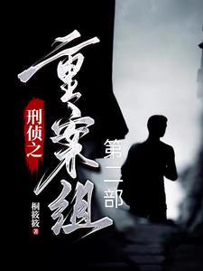 刑侦奇案