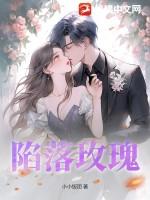 陷落玫瑰全集
