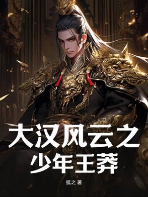 大汉风云8