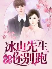 冰山总裁小萌妻酷慢屋