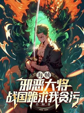有偿求海贼王之邪恶大将