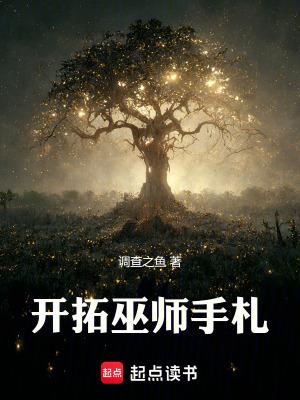 巫师进化手札