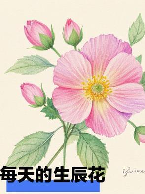 生辰花大全54个花精灵