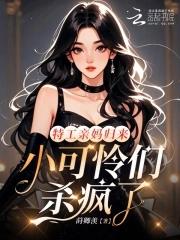 特工妈咪简介