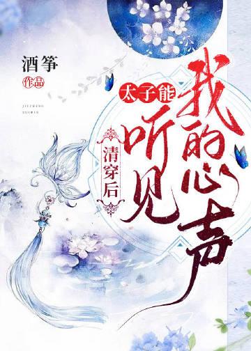 清穿太子妃