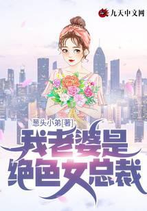 我的绝色总裁老婆境界
