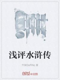 关于水浒传评价