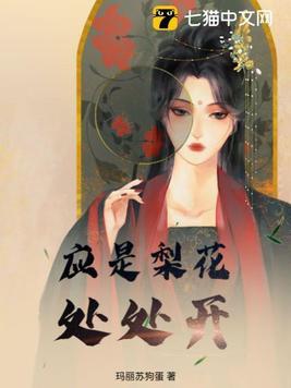 梨花开指的是什么