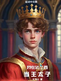 我在法兰西当王太子精校版